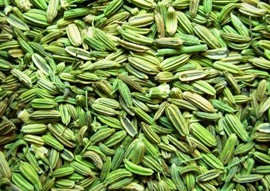 Fennel Seeds Europe Quality Fennel Seeds Europe Quality